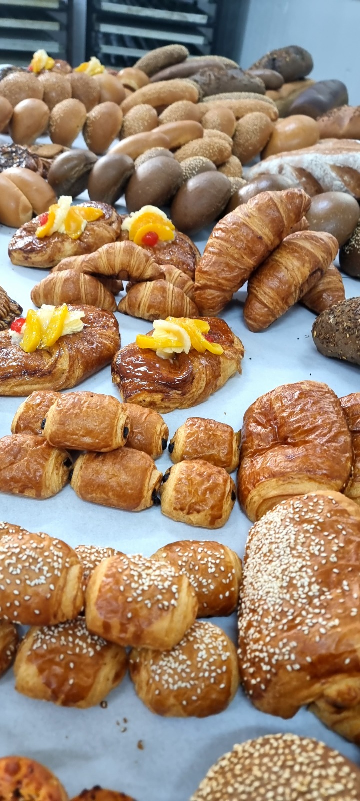 Fresh and Frozen Bakery and Pastry
