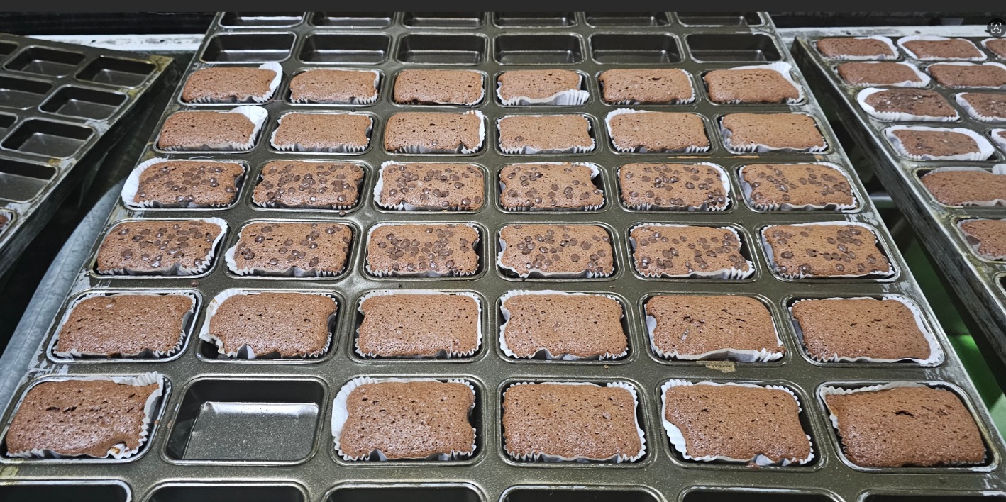 Brownies and Lady Fingers Project