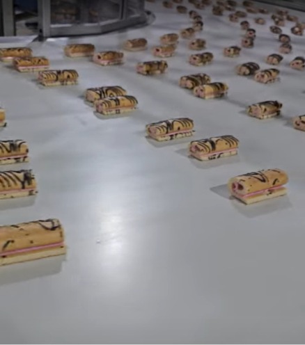 Swiss Roll Factory